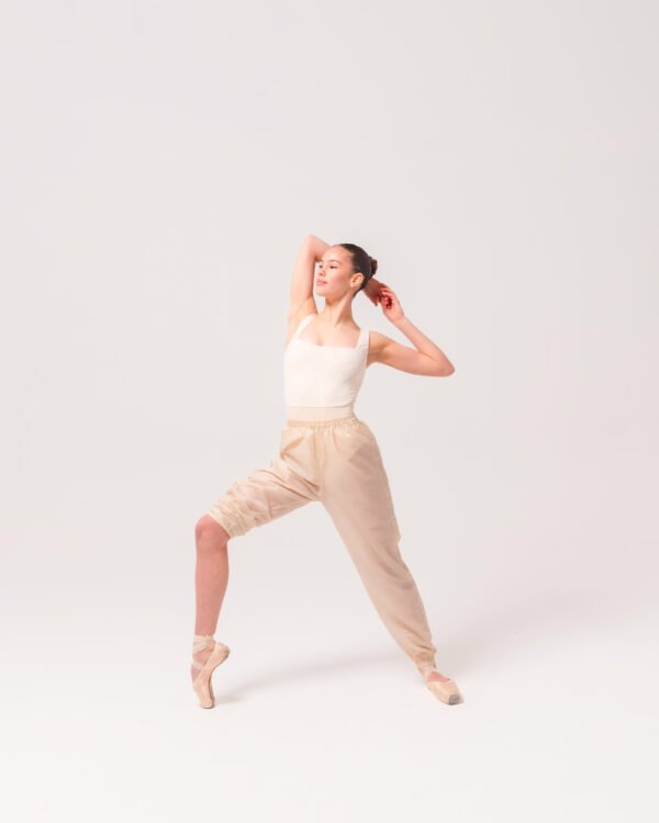 Leotard (Pink\ Brown)